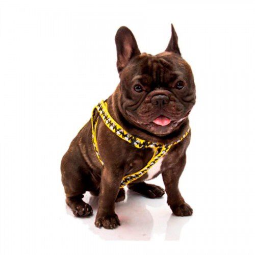 Zooz arn&eacute;s Snoopy amarillo para perros, , large Imagen numero 5