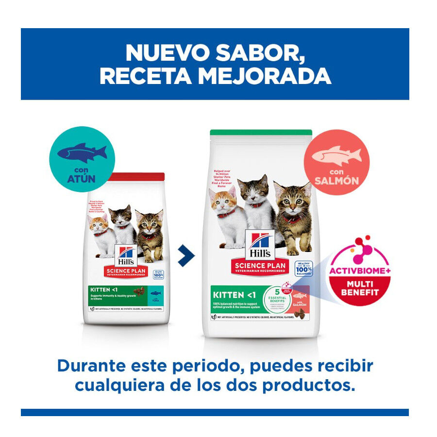 1.5 kg Hill's Science Plan Pienso Salm&oacute;n para gatitos, , large Imagen numero 3