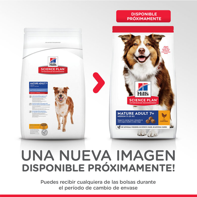 Hill's Science Plan Mature Adult Medium Pollo pienso para perros, , large image number null