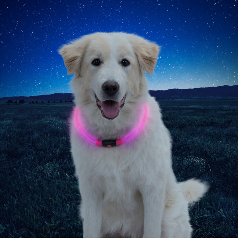 Nite Ize NiteHowl Collar de Seguridad LED Rosa para perros thumbnail