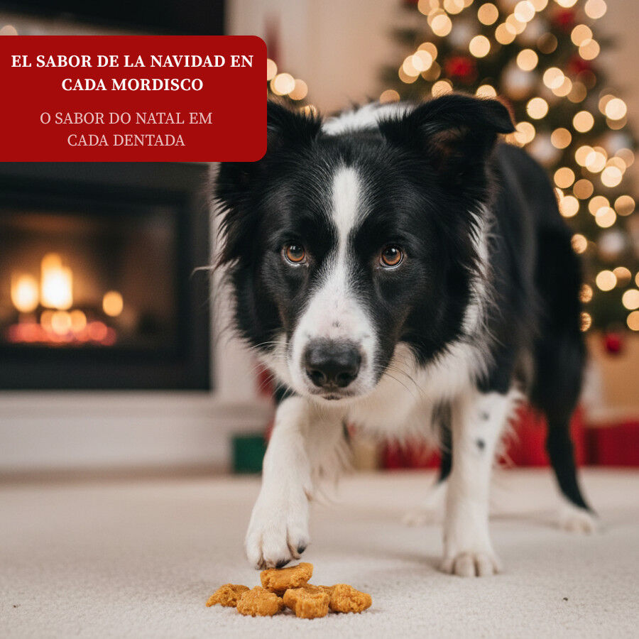 80 g Wonder Christmas Nuggets de Pollo Navide&ntilde;os para perros, , large Imagen numero 4