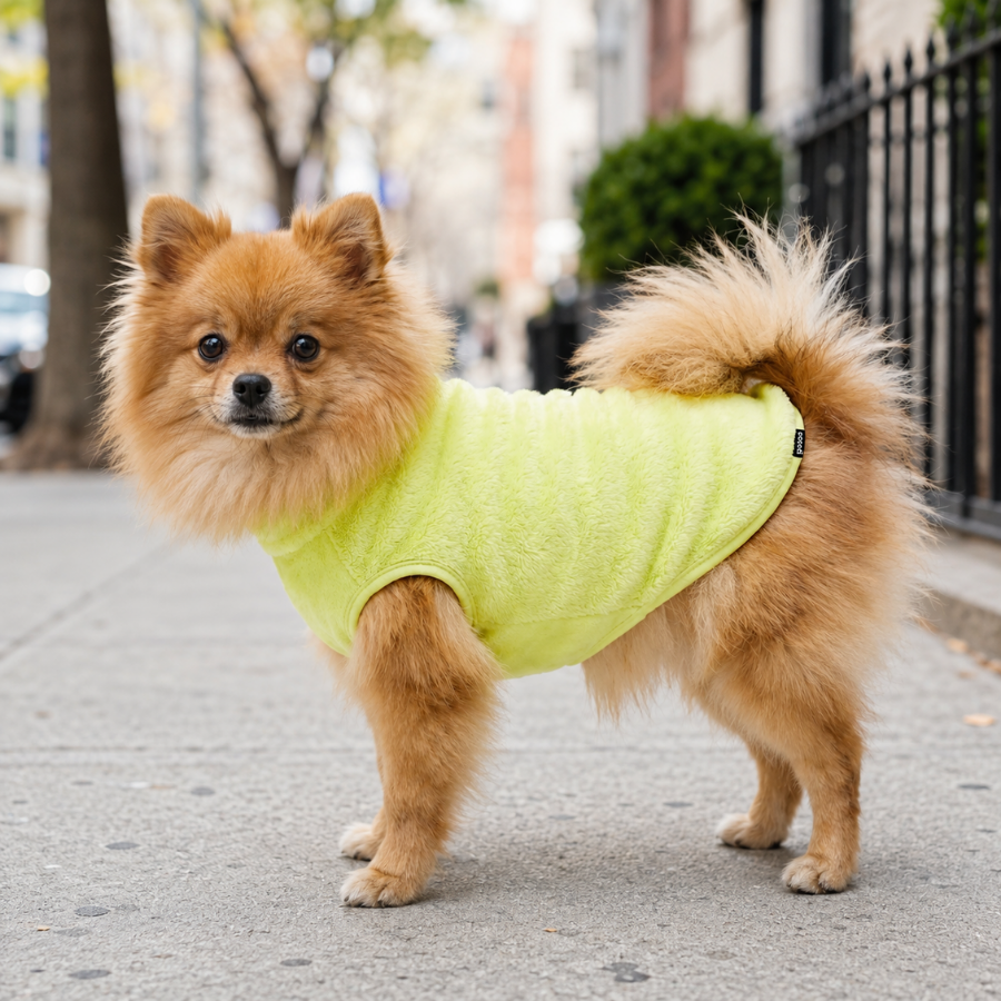 Gotoo Jersey Polar Verde Lima para perros, , large Imagen numero 1