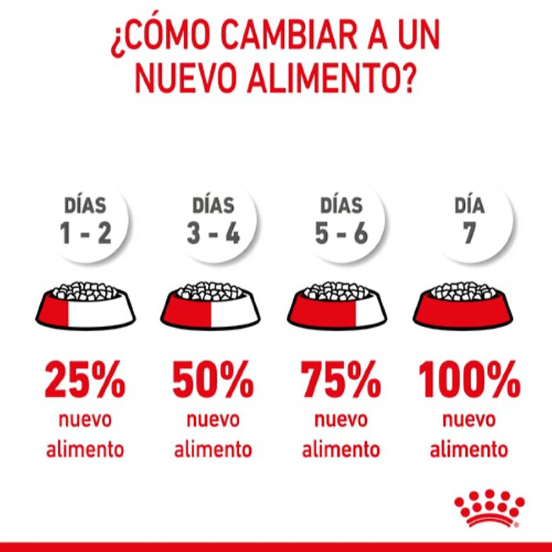 Royal Canin X-Small Puppy pienso para perros, , large image number null