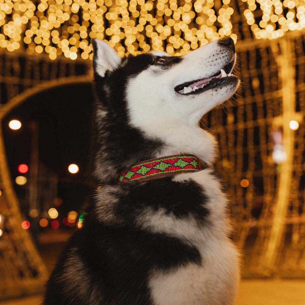 COLLAR MALAUI - XS, , large Imagen numero 2