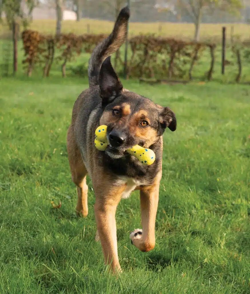 Zeus Nitro&trade; Hueso Flexible, 16cm, , large Imagen numero 4