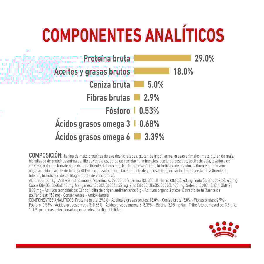 Royal Canin Adult 8+ Yorkshire pienso para perros thumbnail