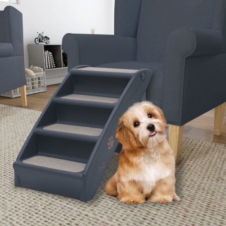 Escalera para perros cómoda, , large image number null
