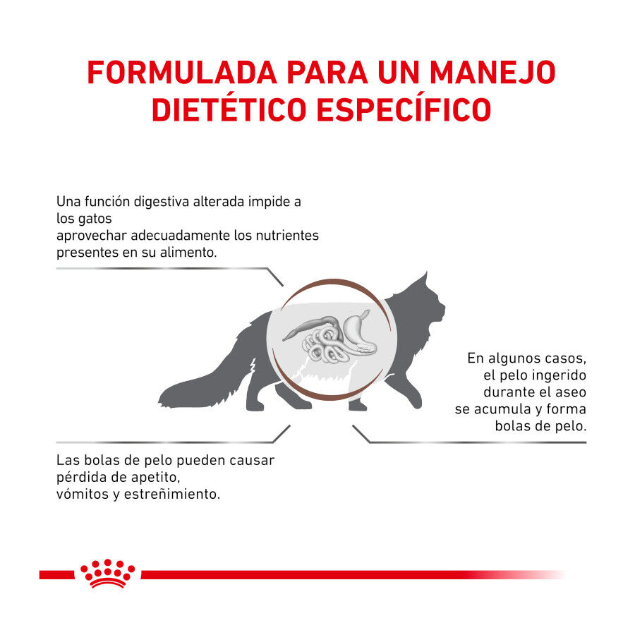 Royal Canin Veterinary Gastrointestinal Hairball pienso para gatos thumbnail