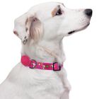 Collar para perro Snoopy color rosa, , large image number null
