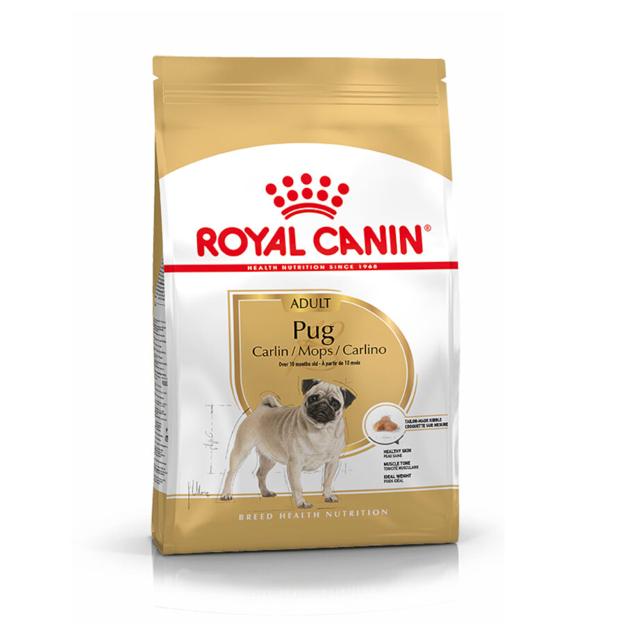Royal Canin Adult Pug pienso para perros thumbnail