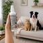 Nice Care Ambientador Eliminador de Olores para perros y gatos, , large indicador imagen numero 1