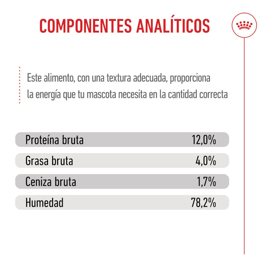 Royal Canin Kitten sobre en salsa para gatos thumbnail