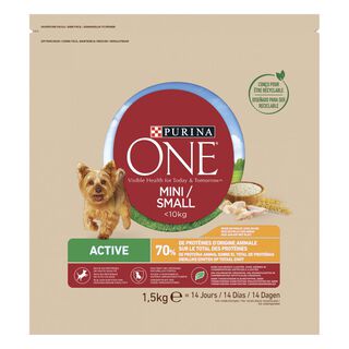 Purina One Mini Active Pollo pienso para perros