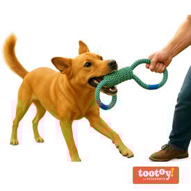 Tootoy! Mordedor de Cuerda Doble para perros