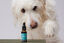 Petidibidiol aceite para perros grandes 1000 mg, , large indicador imagen numero 3