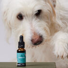 Petidibidiol aceite para perros grandes 1000 mg, , large image number null