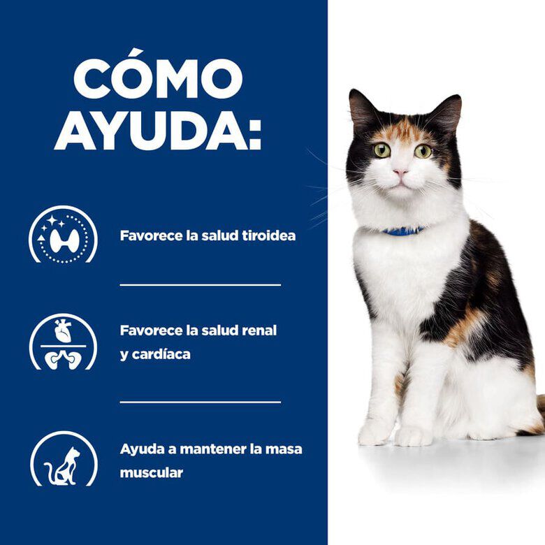 Hill&#039;s Prescription Diet Thyroid Care y/d pienso para gatos thumbnail