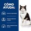 1.5 kg Hill's Prescription Diet Thyroid Care y/d pienso para gatos, , large indicador imagen numero 3