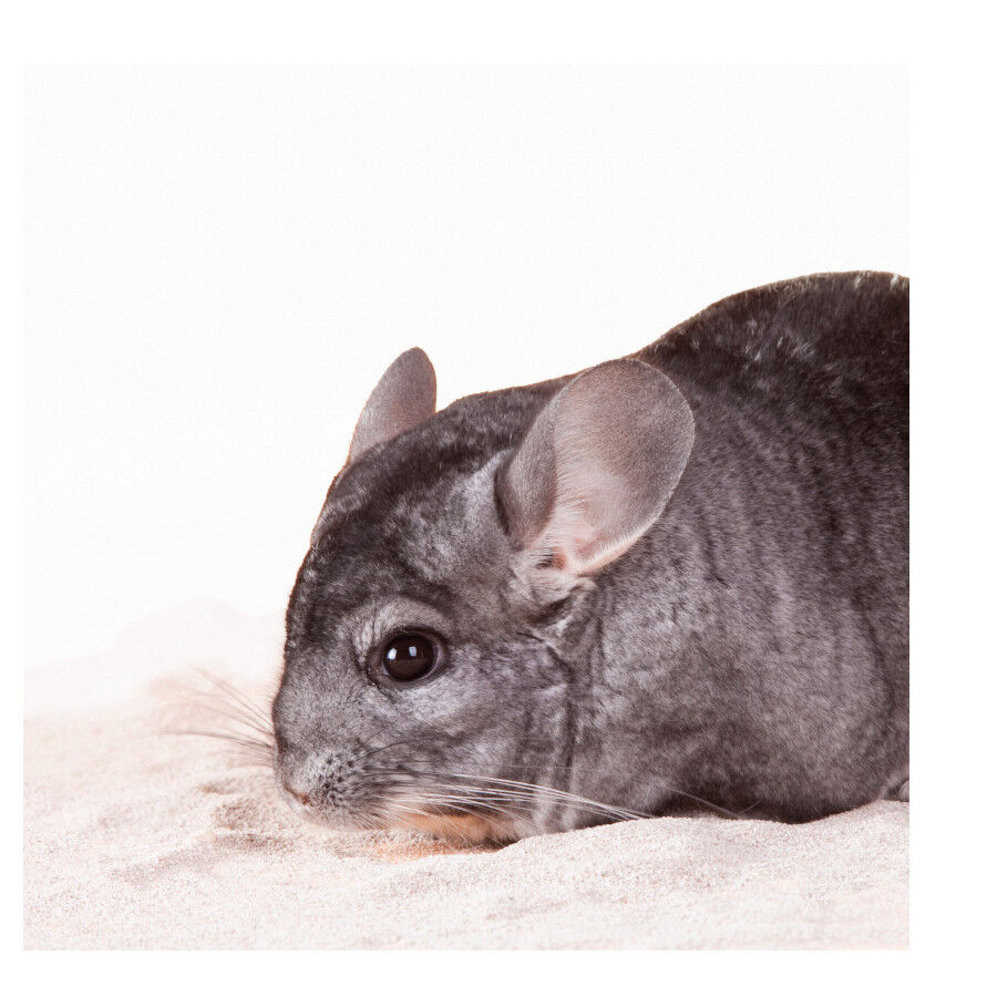 Beaphar Care+ Arena de Baño para chinchillas thumbnail