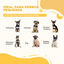 PawHut Barrera de Seguridad para Perros Pequeños Plegable Barrera para Perros en Casa de 3 Paneles con Patas Anchos para Escaleras Pasillos 154,5x29,5x61 cm Café, , large indicador imagen numero 4