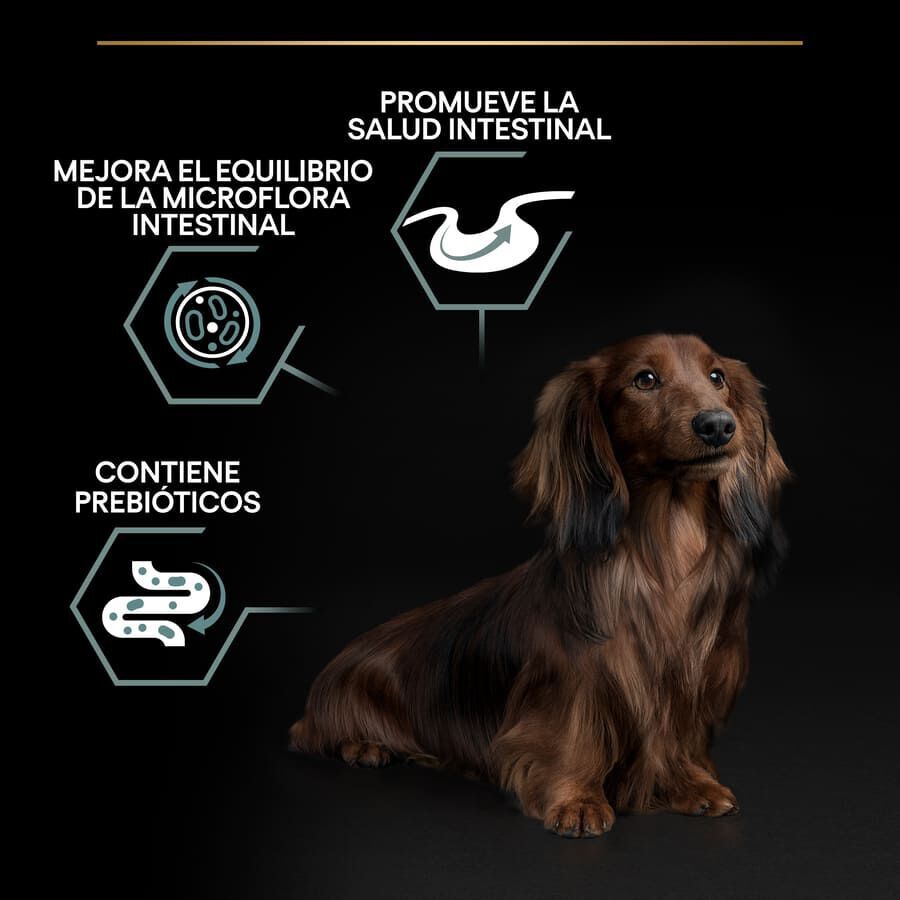 Pro Plan Adult Small y Mini Digestión Cordero pienso para perros thumbnail