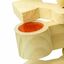 Cooltoys juguete porta golosinas de madera natural para loros pequeños y medianos, , large indicador imagen numero 2