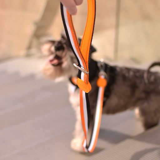 Dashi stripes correa de poli&eacute;ster naranja y negro para perros, , large Imagen numero 2