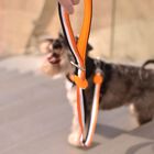 Dashi stripes correa de poliéster naranja y negro para perros, , large image number null