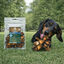 2 uds. True Origins Hueso Mini de At&uacute;n Snack para perros, , large indicador imagen numero 1