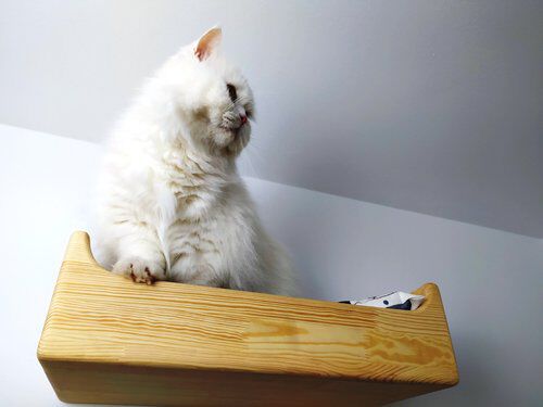 Cama Rectangular, , large Imagen numero 2