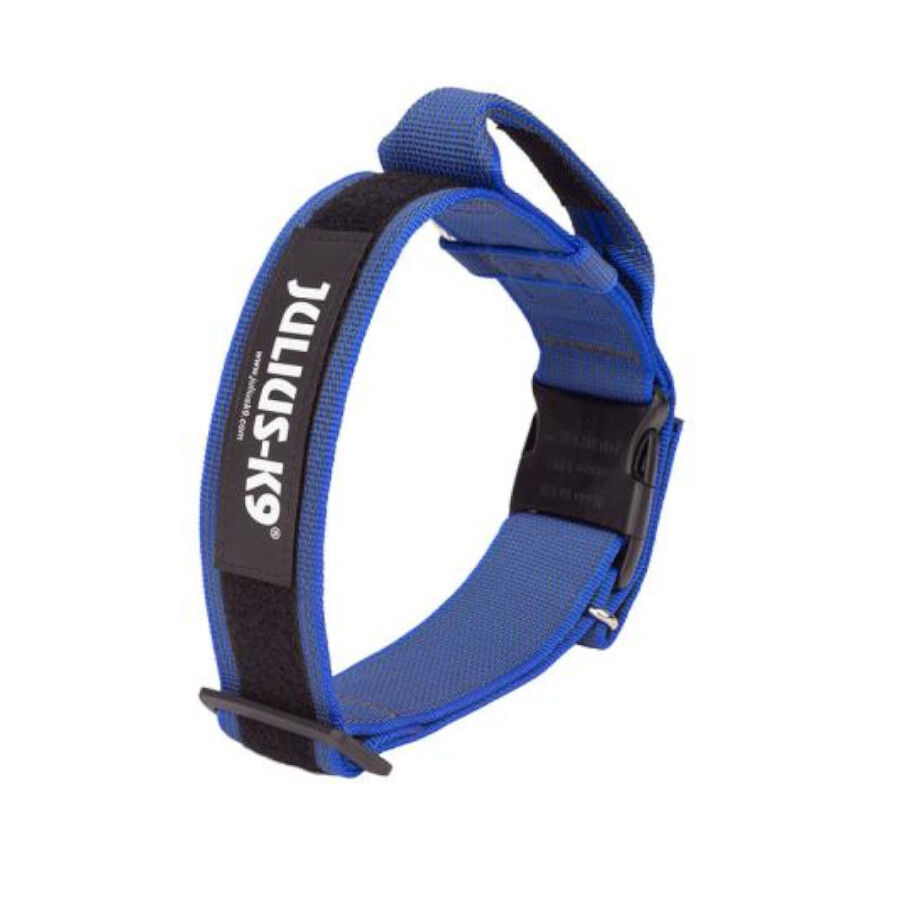 Julius K9 collar doble cierre azul para perros Imagen numero 1