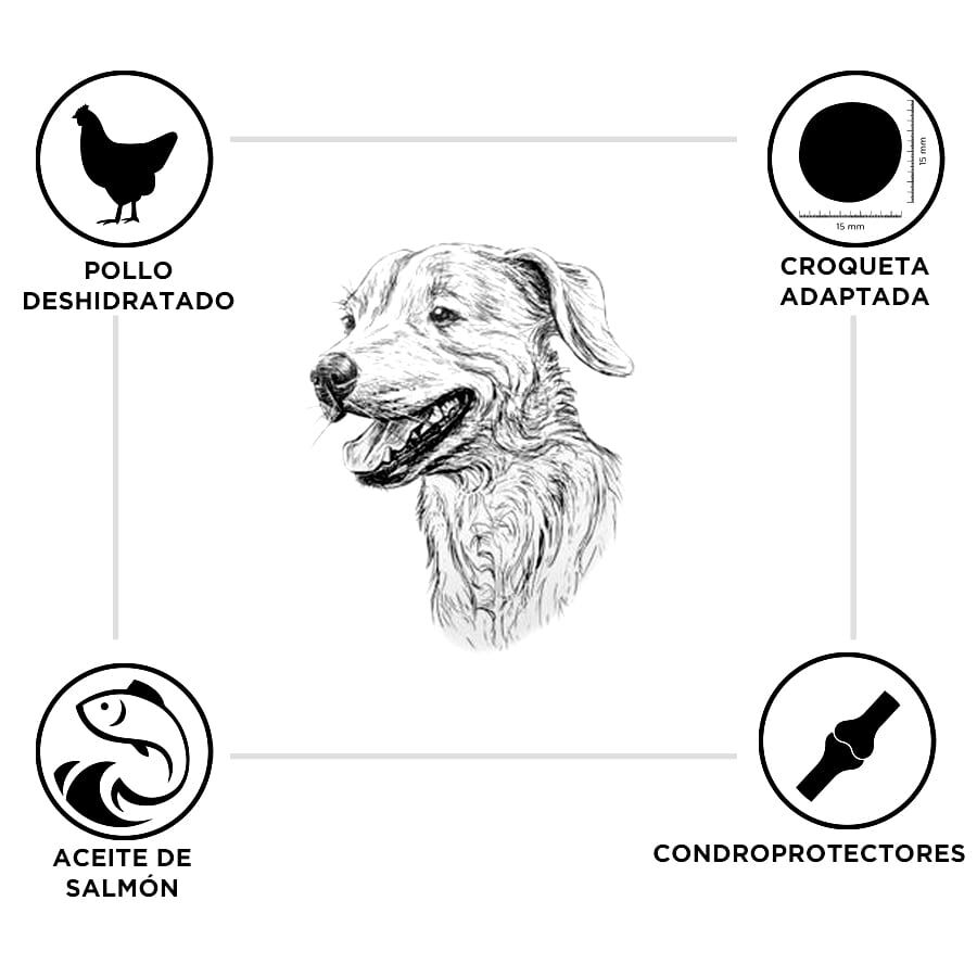 Criadores Pollo y Arroz pienso para cachorros de razas grandes thumbnail