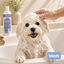 Bloob Champ&uacute; Realzador Mantos Blanco Mel&oacute;n para perros, , large indicador imagen numero 2