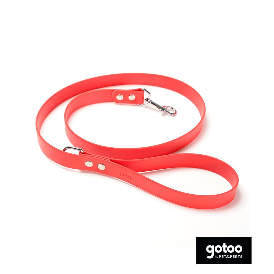 Gotoo Correa Biothane roja para perros, , large Imagen numero 2