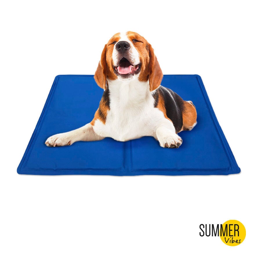 Summer Vibes Manta Refrescante Azul para perros thumbnail