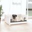 Cama Para Perros, , large indicador imagen numero 12