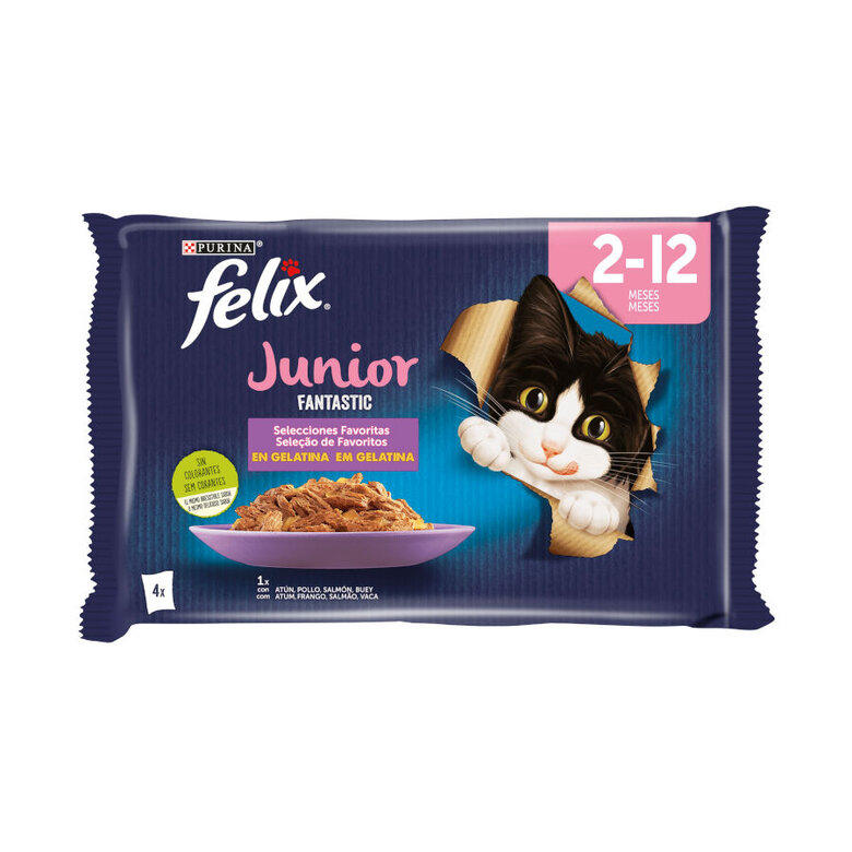 Felix Fantastic Junior sabores combinados en gelatina image number null