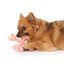 Juguete para masticar perro Zeus Duo Cross Hueso, 15 cm, Coral, aroma a Pollo, , large indicador imagen numero 4