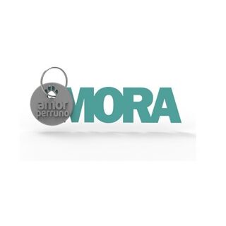 Seron llavero personalizado amor perruno turquesa