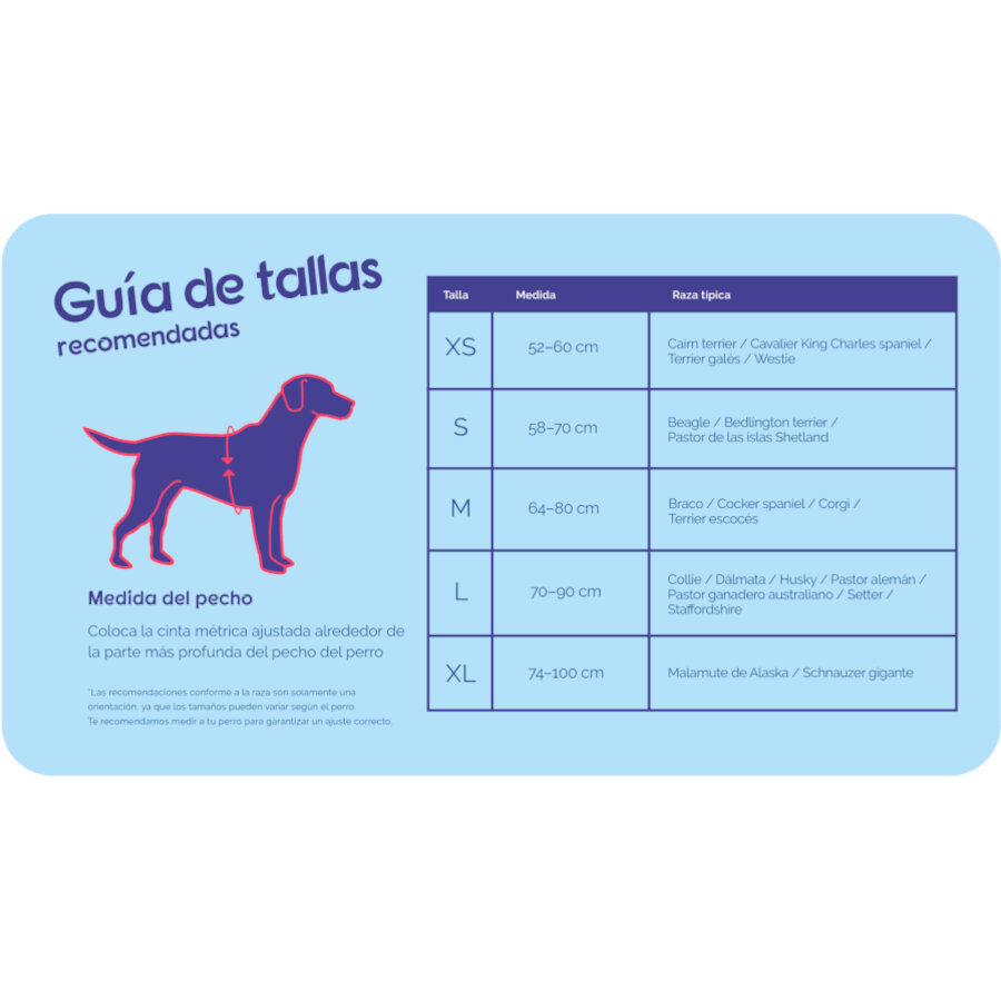 Halti arn&eacute;s acolchado de nylon rojo para perros, , large Imagen numero 4