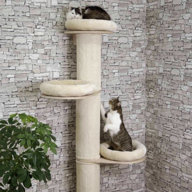 Rascador Dolomit Tower para gatos color Beige, , large image number null