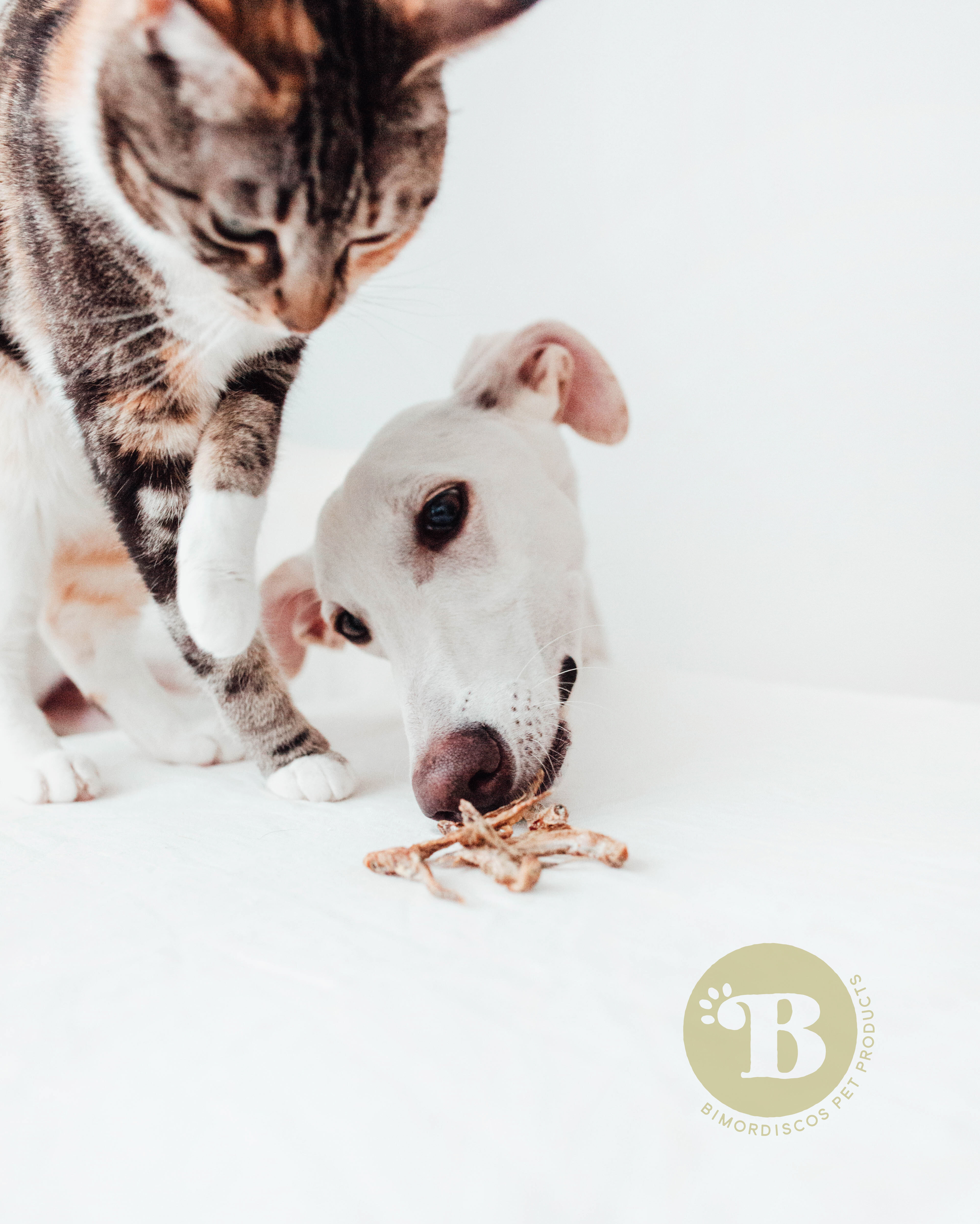 BIMORDISCOS Pescaditos Eperlanos para perros y gatos thumbnail