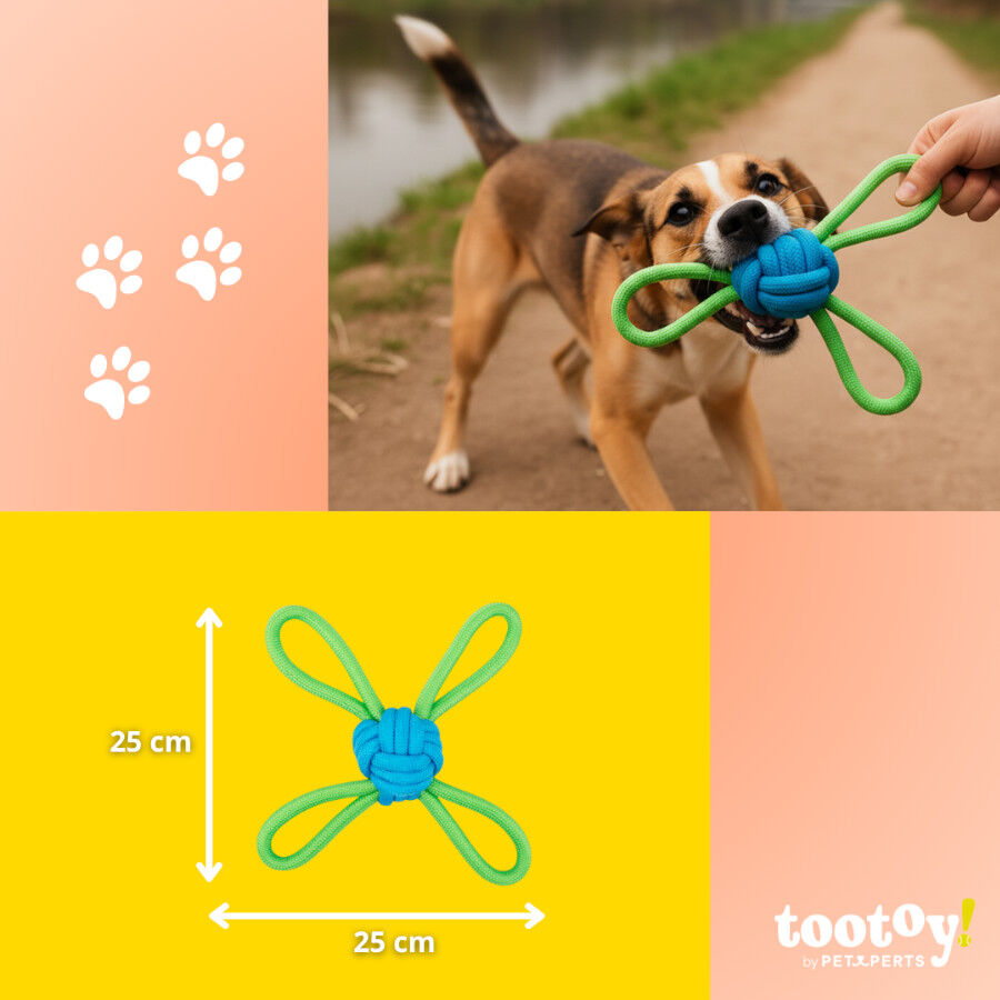 Tootoy! Mordedor de Cuerda M&uacute;ltiple con Pelota Verde y Azul para perros, , large Imagen numero 4