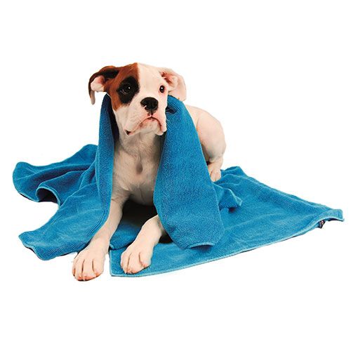 Toalla microfibra Ib&aacute;&ntilde;ez " Microtowel", proporciona secado r&aacute;pido y perfecto para perros y gatos, , large Imagen numero 1