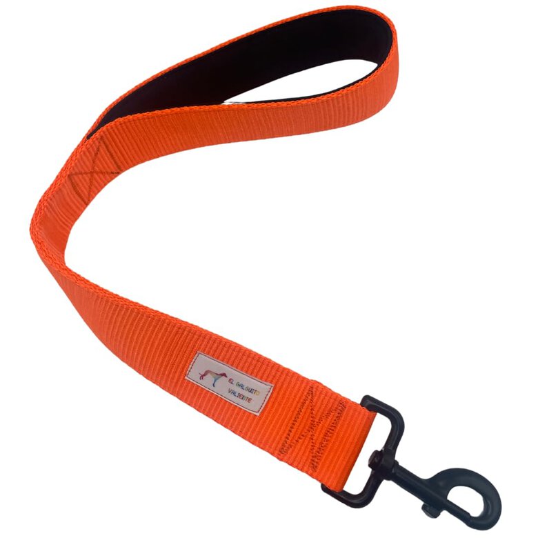 EGV - Correa corta perro 4cm ancho, asa neopreno y mosquetón reforzado. 50cm longitud. (Naranja)