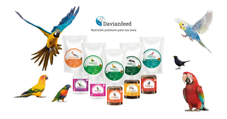 Lorifeed - Néctar Loris Completo 0,5 kg - Nutrición para Aves Nectarívoras - Composición Natural - Alta Calidad y Bienestar Digestivo - Davianfeed thumbnail