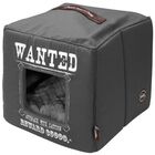 Cama Wanted para gatos color Gris, , large image number null