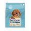 2.5 kg Dog Chow Puppy Pollo pienso para cachorros, , large indicador imagen numero 1