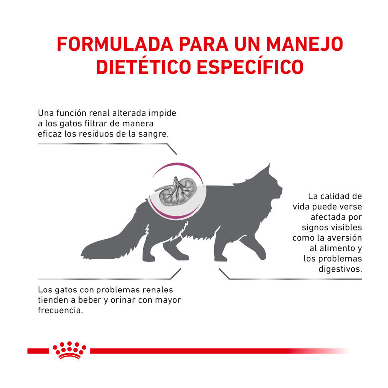 Royal Canin Veterinary Renal Select pienso para gatos, , large image number null