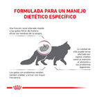 Royal Canin Veterinary Renal Select pienso para gatos, , large image number null